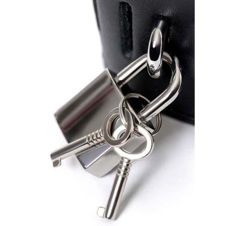 Фиксатор рук и ног ToyFa Theatre